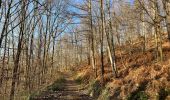 Randonnée Marche Theux - Theux Natura 2000 château Franchimont - Photo 16