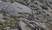 Trail Walking Enchastrayes - le chapeau de gendarme - Photo 10