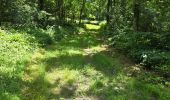 Tocht Stappen La Chapelle-Enchérie - La Chapelle-Enchérie - Bois de Bricsard - Photo 13