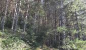 Trail Walking Rocchetta di Vara - Cuccaro - Belvedere - Photo 5