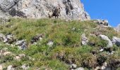 Randonnée Marche Talloires-Montmin - LA TOURNETTE DEPUIS MONTMIN PAR LA CHEMINEE DU LARS - Photo 3