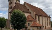 Percorso Marcia Châtenois - Le Hahnenberg et les balcons de Sélestat - Photo 6