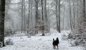 Trail Walking Libramont-Chevigny - Granvoir (Libramont) - Photo 1