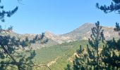 Trail Walking Saint-Geniez - S GENIEZ . ABROS . LA FOREST . COL DE MOUNIS . O L M - Photo 9