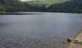 Tour Wandern Xonrupt-Longemer - retournemer hohnech schiesrothried blanchemer et lande  - Photo 4