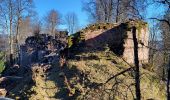 Tour Wandern Vorbruck - Etang du Coucou - Château de Salm - Chatte pendue - Haute Loge - Chapelle Bipierre - Photo 2