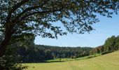 Randonnée A pied Schieder-Schwalenberg - Rundwanderweg A1 Bennerberg - Photo 9