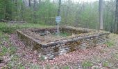 Tour Zu Fuß Osterburken - Rundwanderweg Osterburken 1: Nördlicher Limespark-Weg - Photo 6