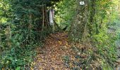 Randonnée Marche Vendôme - Forêt de Vendôme - Bois de l'Oratoire - Photo 2