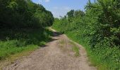 Tocht Stappen Saint-Amand-les-Eaux - terril vicoigne - Photo 4