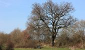 Tour Zu Fuß Bad Soden-Salmünster - Bad Soden-Salmünster Wanderweg Nr. 5 - Photo 10