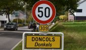 Tour Wandern Winseler - 20211017 - Doncols 8.4 Km - Photo 3