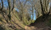 Trail Walking Briennon - Briennon : du canal aux pâturages  - Photo 4