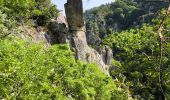 Randonnée Marche Chauchailles - les Gorges du Bes - Photo 5