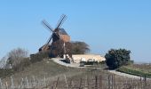 Trail  Verzy - Le phare de verzenay  - Photo 2