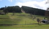 Tour Zu Fuß Baiersbronn - Baiersbronn Gleitschirmlandeplatz-Freudenstadt - Photo 3