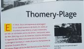 Trail Walking Fontainebleau -   Thomery et Rosa Bonheur/09/2022 - Photo 7