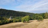 Tocht Stappen Bouillon - rando rochehaut 8/09/2020 - Photo 20