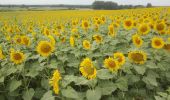 Excursión Senderismo Roiffé - Les Tournesols - Photo 1