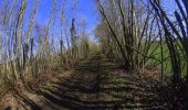 Randonnée V.T.T. Anhée - VTT autour de Maredsous  - Photo 7