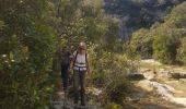 Excursión Senderismo Navacelles - CAL LES AIGUIERES  - Photo 17