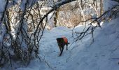 Tour Wandern Basse-sur-le-Rupt - piquante Pierre col menufosse roche des chats  - Photo 9