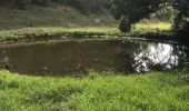 Tour Wandern Sainte-Anne - Belle mare St Anne  - Photo 4