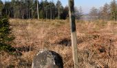 Trail Walking Aywaille - 220307 Ninglinspo - Photo 17