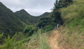 Tour Wandern Caniçal - Machado avec transfert de bus au milieu - Photo 3