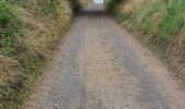 Tocht Stappen Itter - Le chemin des cailloux - Photo 2