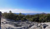 Tour Wandern Le Revest-les-Eaux - Tourris pyramide de Cassini - Photo 5