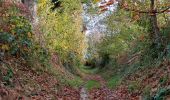 Trail Walking Romillé - Romillé 29-10-20 - Photo 1