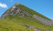 Tocht Stappen Mandailles-Saint-Julien - Le Fournal au Col de Cabre - Photo 4