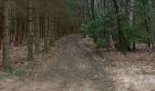 Trail Electric bike Saint-Clément - sortie vtt 16042023 forêt de Grammond  - Photo 4