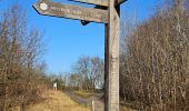 Tour Wandern Maasmechelen - Terhills et son pont flottant  - Photo 4