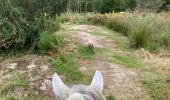 Trail Horseback riding Saint-Quirin - Camping st quirin belles roches abri Klein haut du bon Dieu halmoze lamperstein  - Photo 1