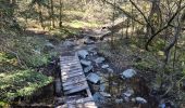 Trail Walking Waimes - Peak brune - Photo 16
