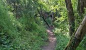 Trail Walking Ballancourt-sur-Essonne - Ballancourt-sur-Essonne - Photo 1