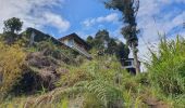 Trail Walking Baños de Agua Santa - Baños - Casa del Arbol - Photo 15