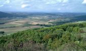 Trail On foot Bad Staffelstein - Keltenweg D - Photo 10