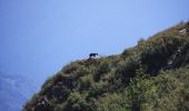 Trail On foot Barzio - Rifugio Lecco - Rifugio Grassi - Photo 10