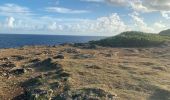 Trail Trail Anse-Bertrand - Porte d’enfer le littoral  - Photo 11