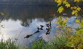 Trail Walking Viroflay - T-Chaville-Meudon - Photo 18
