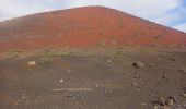 Tour Wandern Tinajo - Montaña Colorada 18.10.24 - Photo 1