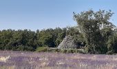 Trail Walking Buoux - Plateau des Claparèdes - Photo 1