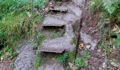 Trail Walking Stosswihr - gaschney-grotte Dagobert - Photo 3