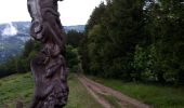 Excursión Senderismo Saint-Nizier-du-Moucherotte - Le bois de la Plagne- St Nizier du Moucherotte - Photo 2