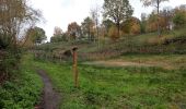 Excursión Senderismo Braine-le-Château - #201113 - Braine-le-Château, Huit Drèves, l'Ermitage et Bois de Clabecq - Photo 10