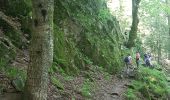 Tocht Stappen Mittlach - Lac d'Altenweiher - Photo 17