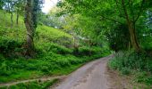 Tocht Te voet North Devon - Butterfly Walk - Photo 10